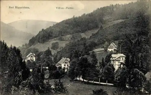 Ak Bad Rippoldsau Schapbach im Schwarzwald, Villenpartie, Wald