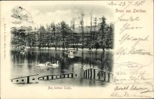 Ak Zwickau in Sachsen, Am kleinen Teich
