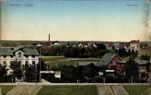 Ak Munster / Hannover, Panoramaansicht