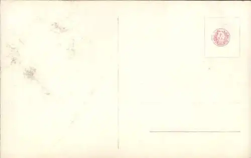 Ak Prinzessin Victoria Luise von Preußen, Portrait, Diadem