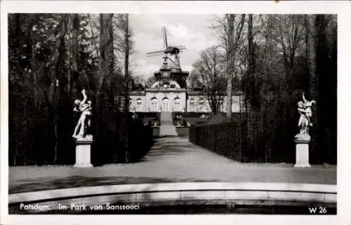 Ak Potsdam Sanssouci,  Park von Sanssouci, Windmühle, Statuen