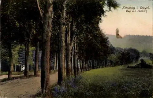 Ak Annaberg Buchholz im Erzgebirge, Landschaft mit Bäumen, Weg, Aussichtsturm, Farbige Postkarte