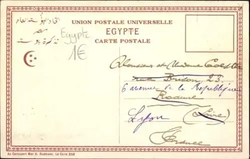 CPA Gizeh, Égypte, pendant la crue, Palms