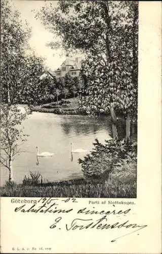 Ak Göteborg Schweden, Idylle am Slottskogen, See mit Schwänen, umgeben von Bäumen, Häuser im Hint