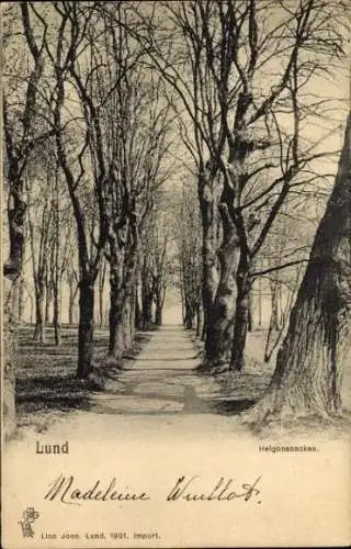 Ak Lund Schweden, Schöne Allee mit Bäumen, Weg in der Mitte, Text: Helgonabacken, Jahr: 1901