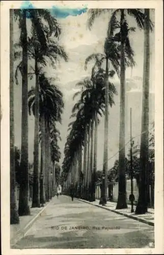 Ak Rio de Janeiro Brasilien, Rua Paysandú