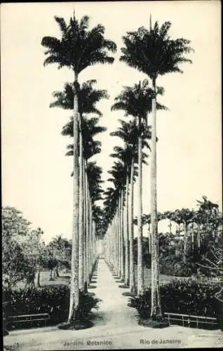 Ak Rio de Janeiro Brasilien, Jardim Botanico, Palmenweg, Parkanlage
