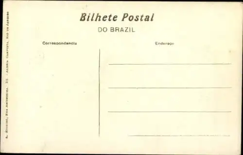 Ak Rio de Janeiro Brasilien, Jardim Botanico, Palmenweg, Parkanlage