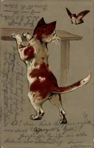 Präge Künstler Ak Katze, Tisch, Vogel