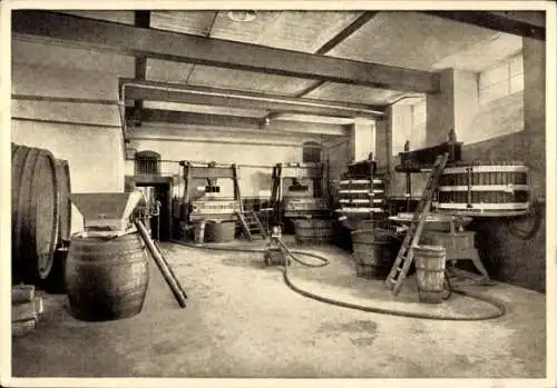 Ak Bingen am Rhein, Haus Fromm, Weingroßkellerei, Kelterhaus