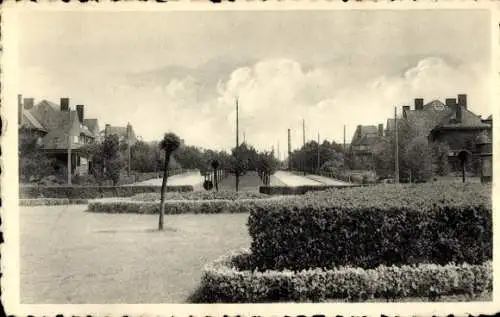 Ak Houthaelen Houthalen Helchteren Flandern Limburg, Parklandschaft mit Straßen, Bäume, Häuser...