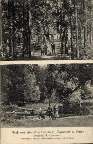 Ak Frankfurt an der Oder, Buschmühle