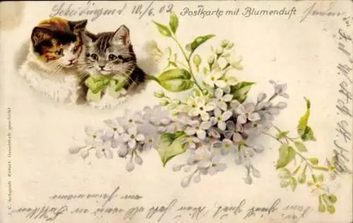 Litho Zwei Katzen, Blumen, Blumenstrauß