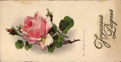 Künstler Ak Klein, C., Glückwunsch Ostern, Blühende Rose, Knospen