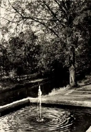 Ak Eberswalde in der Mark,  Am Nonnenfließ