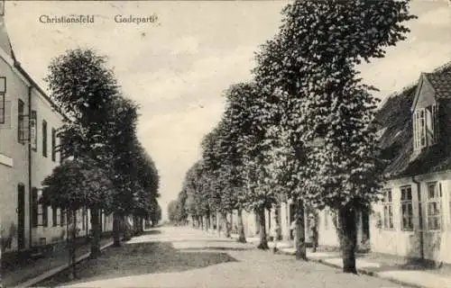 Ak Christiansfeld Kolding Dänemark, Auf einer Straße mit Bäumen, Gebäude links, ländliche Arch...