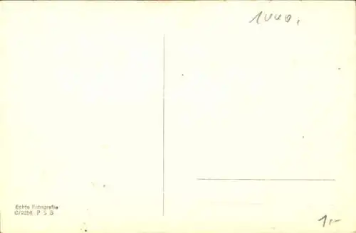 Ak Berlin Tiergarten, Ost-West-Achse