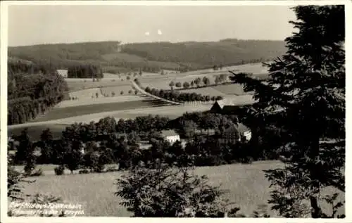 Foto Ak Falkenhain Altenberg im Erzgebirge, Panorama