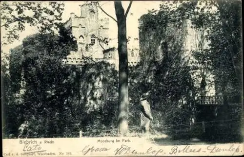 Ak Biebrich am Rhein Wiesbaden, Schloss Moosburg, Parklandschaft, alte Frau