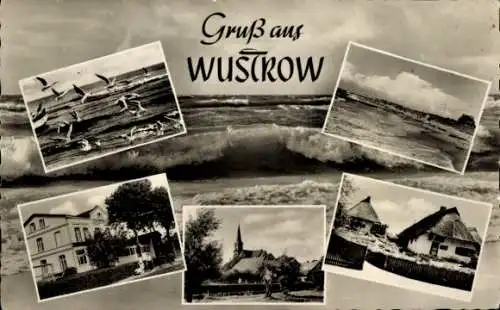 Ak Ostseebad Wustrow Fischland, Gruß aus  Küstenlandschaften, alte Bauten, Vogelansammlungen