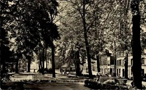 Ak Hansestadt Wismar, Parkanlage, Bäume, Gebäude, Menschen auf Bänken, Schwarzweiß-Foto