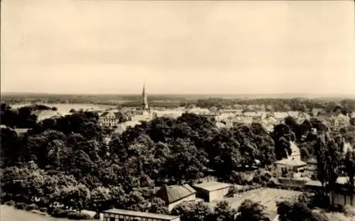Ak Fürstenberg an der Havel, Stadtansicht mit Bäumen, Kirche, Landschaft, Schwarz-Weiß