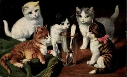 Ak Katzen beobachten Löffel im Glas
