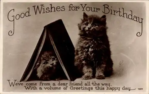Ak Glückwunsch Geburtstag, Katzen