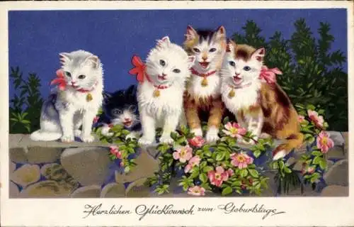 Ak Glückwunsch Geburtstag, Katzen, Blumen