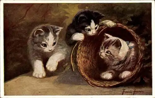 Künstler Ak Fernon, Francis, Ein weiches Plätzchen, junge Katzen, Korb, Primus 03325