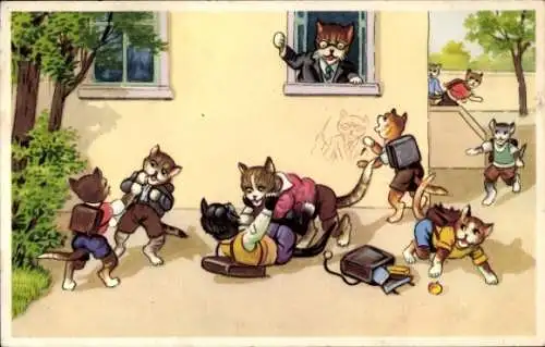 Ak Vermenschlichte Tiere, Katzen in der Schule, Prügelei