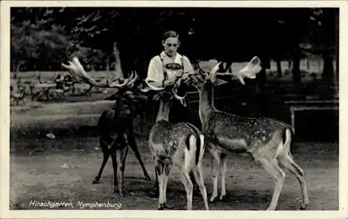 Ak Nymphenburg München Bayern, Hirschgarten