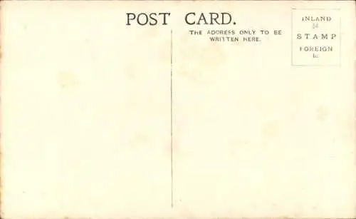 Ak Junger Hirsch, Waldtier