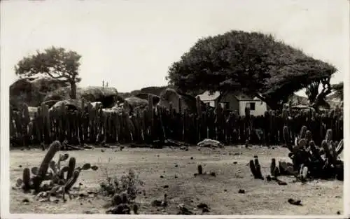 Ak Oranjestad Aruba, Dorfpartie