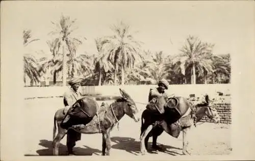 Foto Ak Irak, Zwei Männer, Esel, Transport, Palmen