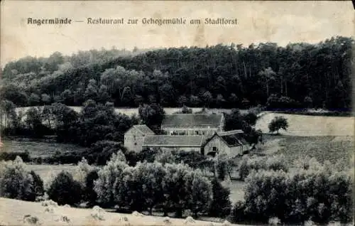 Ak Angermünde in der Uckermark, Restaurant zur Gehegemühle, Stadtforst