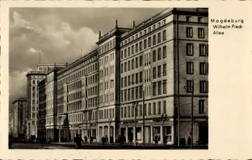 Ak Magdeburg an der Elbe, Wilhelm Pieck Allee