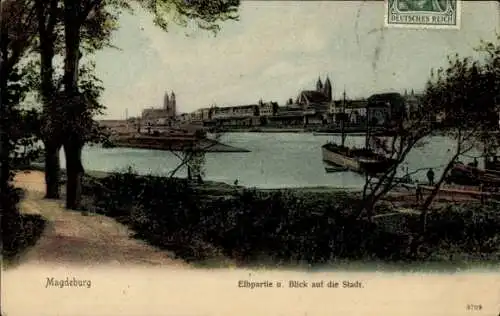 Ak Magdeburg in Sachsen Anhalt, Elbpartie und Blick auf die Stadt, Boote