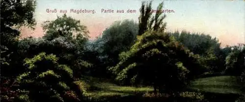 Ak Magdeburg an der Elbe, Wilhelmsgarten