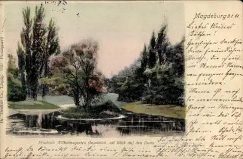 Ak Magdeburg an der Elbe, Wilhelmsgarten, Instelteich