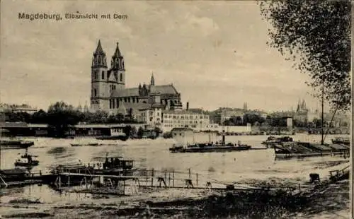 Ak Magdeburg an der Elbe, Dom