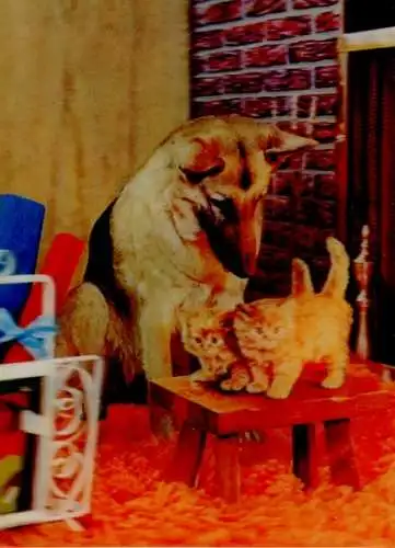 3-D Ak  Schäferhund, Kätzchen