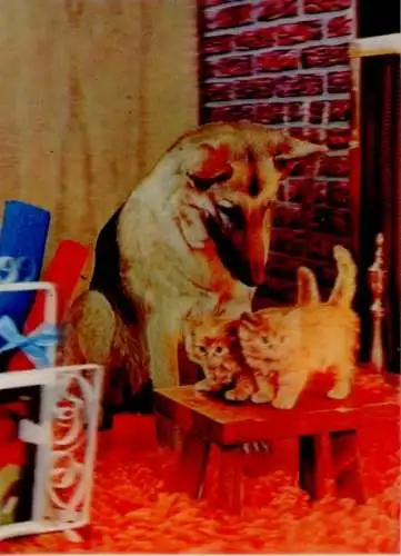 3-D Ak Schäferhund, Kätzchen