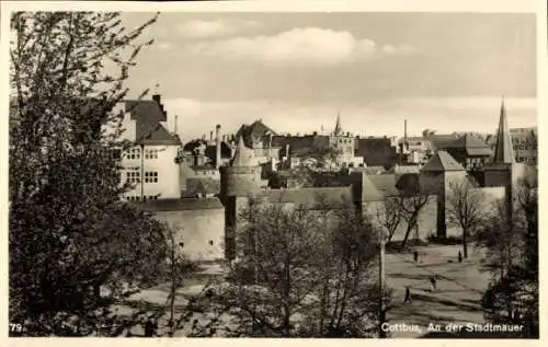 Ak Cottbus in der Niederlausitz, Stadtmauer, historische Gebäude, Bäume, Freizeitaktivitäten, ...
