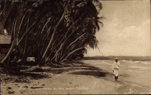 Ak Trinidad, Kokosnuss Palmen am Mayaro Strand