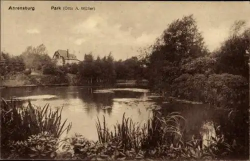 Ak Ahrensburg in Holstein, Park