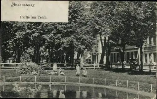 Ak Ahrensburg in Holstein, Teich