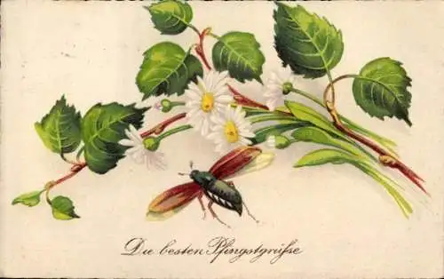 Ak Glückwunsch Pfingsten, Maikäfer, Zweige, Blumen