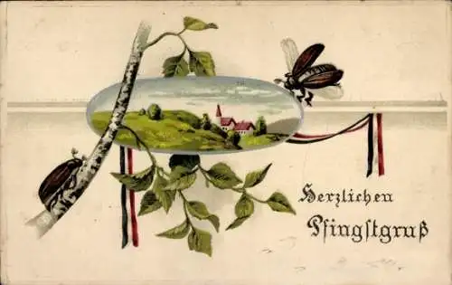 Ak Glückwunsch Pfingsten, Maikäfer, Birke