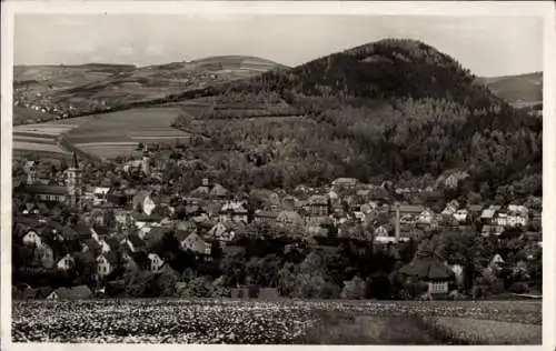 Ak Kraslice Graslitz Reg. Karlsbad, Panorama